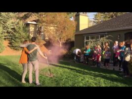 Exploding Golf Ball Gender Reveal