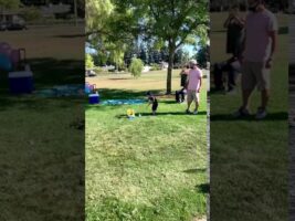 Gender reveal golf swing