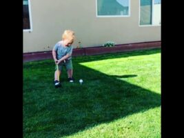 20 month old does sibling’s gender reveal with a golf club!!