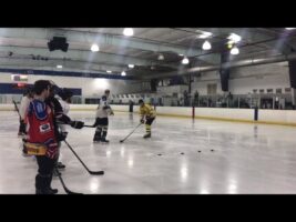 Ice hockey gender reveal