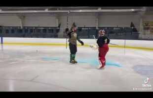 Hockey Gender Reveal