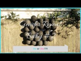 Gender Reveal | Baby Number 2 | Balloon Dart Reveal