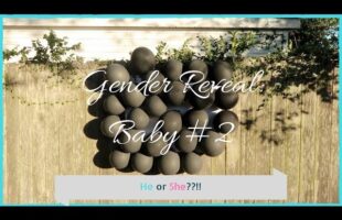 Gender Reveal | Baby Number 2 | Balloon Dart Reveal