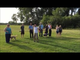 Archery Gender Reveal