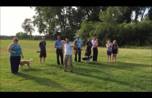 Archery Gender Reveal