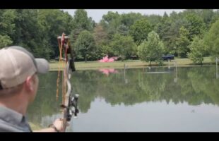 Gender Reveal Trick Shot//100 Yards With A Compound Bow