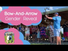 Bow And Arrow Gender Reveal