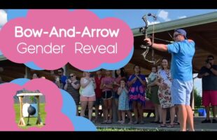 Bow And Arrow Gender Reveal