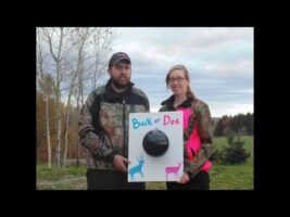 Gender reveal bow style