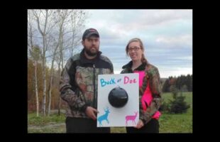 Gender reveal bow style