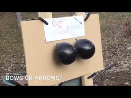 Bows or Arrows? Gender reveal!