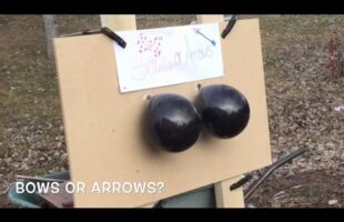 Bows or Arrows? Gender reveal!