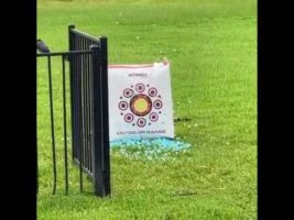 Archery Gender Reveal for TRIPLETS