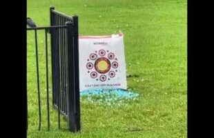 Archery Gender Reveal for TRIPLETS