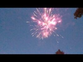 Fireworks Gender Reveal