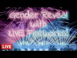 🔴 LIVE: Gender Reveal Fireworks From My Back Garden!