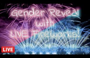 🔴 LIVE: Gender Reveal Fireworks From My Back Garden!