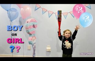 Cutest Sibling Gender Reveal | Piñata Party