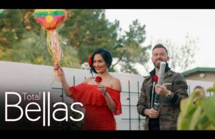 Nikki and Artem host a gender reveal party: Total Bellas, June 11, 2020