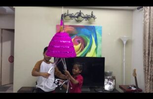 Funniest Gender Reveal Pinata