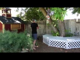 Gender Reveal Party and Breaking a Piñata