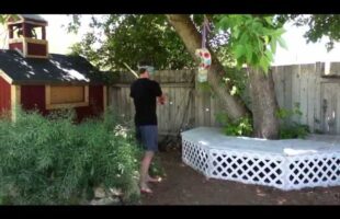 Gender Reveal Party and Breaking a Piñata