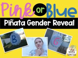 Pink or Blue: Piñata Gender Reveal