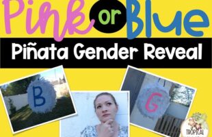 Pink or Blue: Piñata Gender Reveal