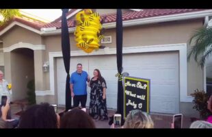 “ He or She what will it BEE?!?” Gender Reveal