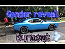 Gender reveal BURNOUT!