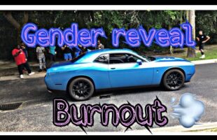 Gender reveal BURNOUT!