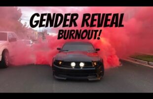 Greatest Gender Reveal Burnout!