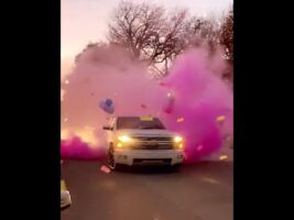 Burnout or bows gender reveal