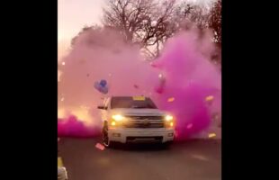 Burnout or bows gender reveal