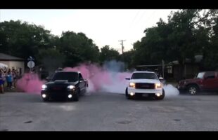 Gender reveal BURNOUT !