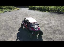 Conner & Izabele’s Gender Reveal RZR