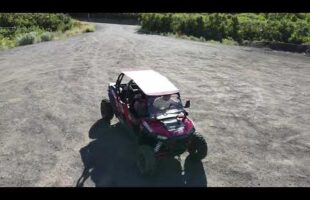 Conner & Izabele’s Gender Reveal RZR