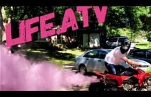 TRX 450r Gender Reveal!