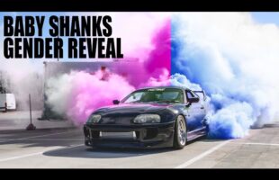 BABY SHANKS OFFICIAL GENDER REVEAL VIDEO – 1/16/2021