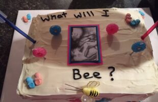 Gender Reveal     (for Baby #4)