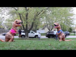 Funny T-Rex Gender Reveal 2020