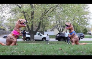 Funny T-Rex Gender Reveal 2020