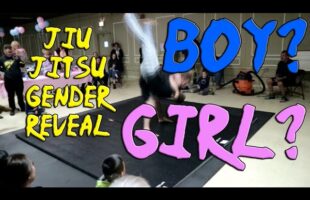 Vlog #151 – Baby’s Gender revealed. Jui-jitsu style!!!