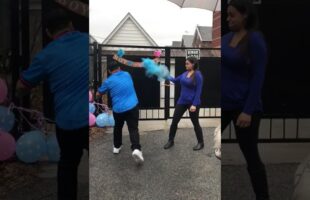 Boxing Gender Reveal