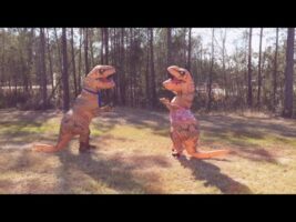 T-Rex Gender Reveal