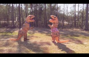 T-Rex Gender Reveal