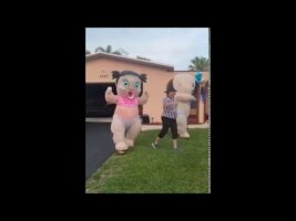 Baby Fight Gender Reveal