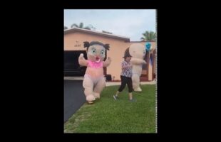 Baby Fight Gender Reveal