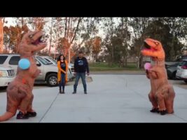 T-Rex Gender Reveal