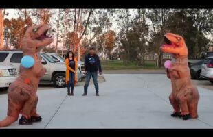 T-Rex Gender Reveal